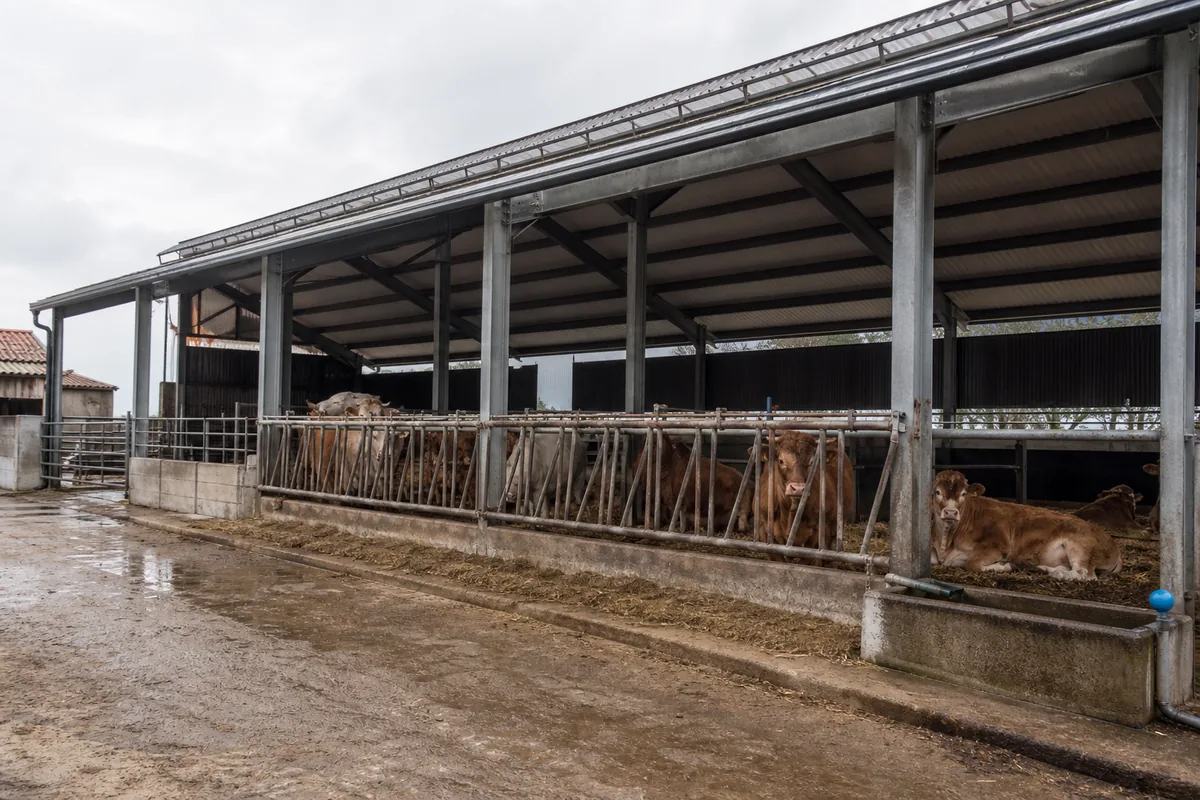 Steel livestock building with natural ventilation openings on a working farm